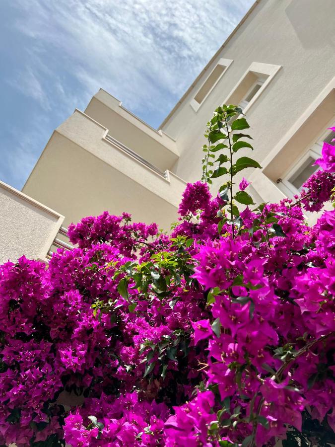Vespera Apartments بول المظهر الخارجي الصورة